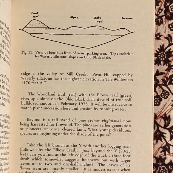 The Wilderness Charles A Eulett Preserve Cincinnati Museum of Natural History OH - Picture 3 of 8